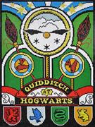 Harry Potter QuiDDitch (DDHP.1007) 42 x 57cm